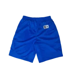 Translucent Mesh Shorts - Blue