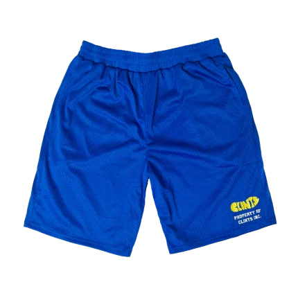 Translucent Mesh Shorts - Blue